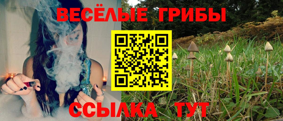 Партизанск  Галлюциногенные грибы мицелий  где продают наркотики  Вход с VPN 